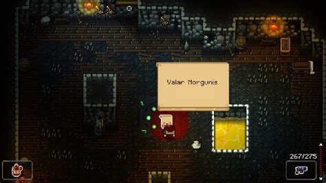 iron coin gungeon