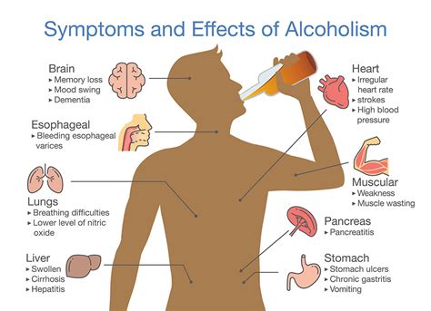 is alcohol needed in a human body