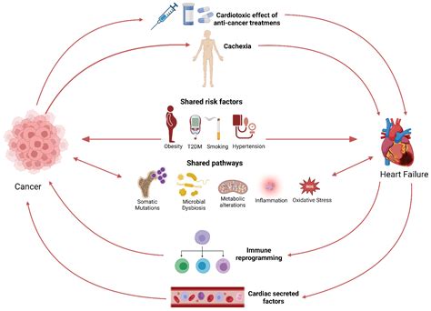 is cancer a condition or disease