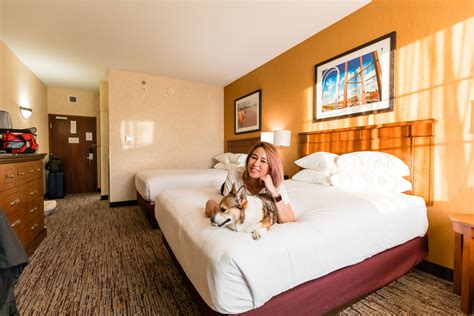 is drury inn pet friendly