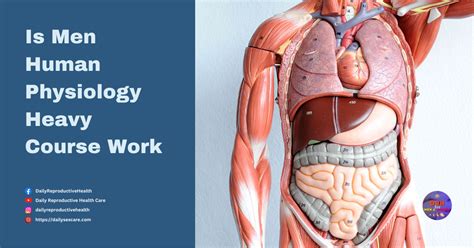 is human physiology heavy course work