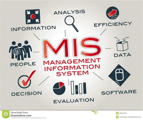 is mis a good major