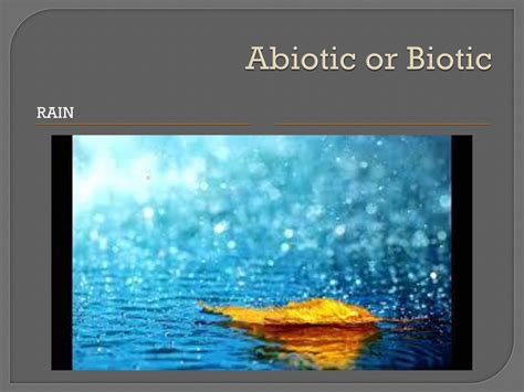 is rain biotic or abiotic