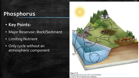 is the atmosphere is a major reservoir of phosphorus