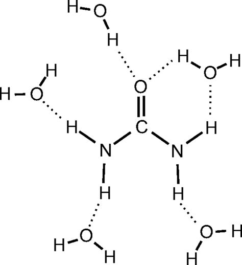 is urea soluble in water