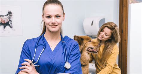 is vet school harder to get in than med school