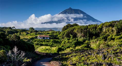 island of pico azores