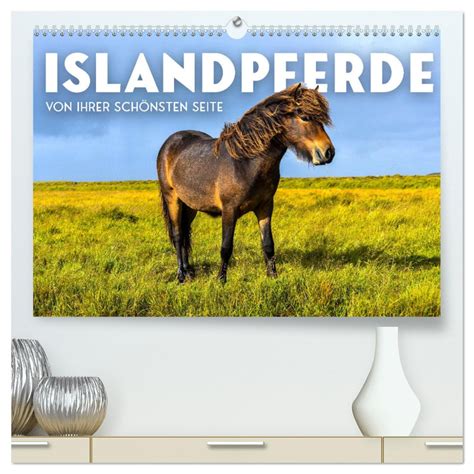 islandpferde ihrer heimat wandkalender 2016 Reader