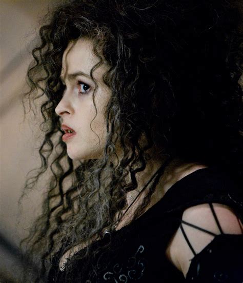 isn't harry pureblood why does bellatrix call him half-blood