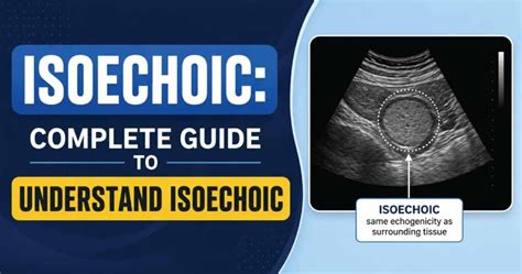 isoechoic nodule manual guide Doc