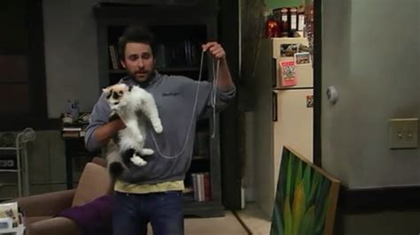 it's always sunny in philadelphia cat in the wall