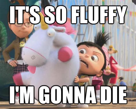 it's so fluffy im gonna die