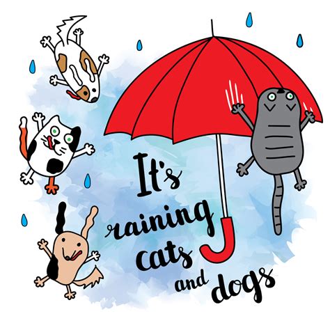 it s raining cats and dogs it s raining cats and dogs Kindle Editon