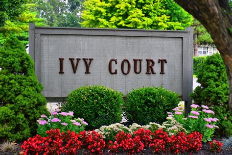 ivy court