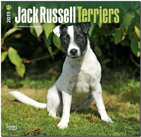 jack russell terriers intl 2015 square 12x12 multilingual edition PDF