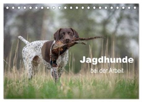 jagdhunde arbeit tischkalender 2016 quer Epub