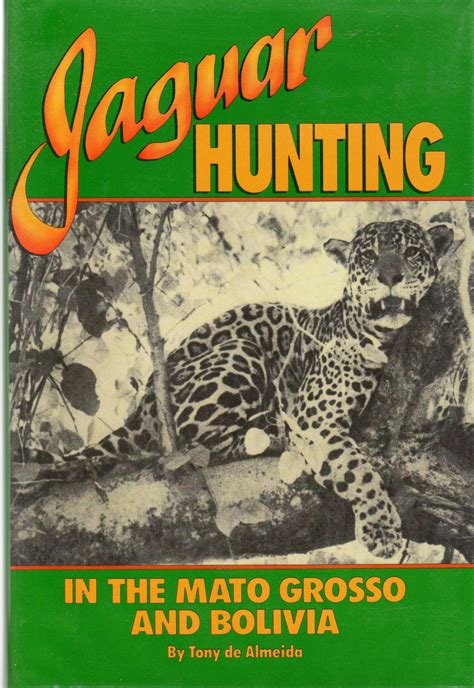 jaguar hunting in the mato grass and bolivia Reader