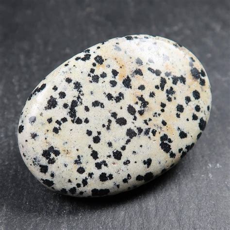 jasper dalmatian stone