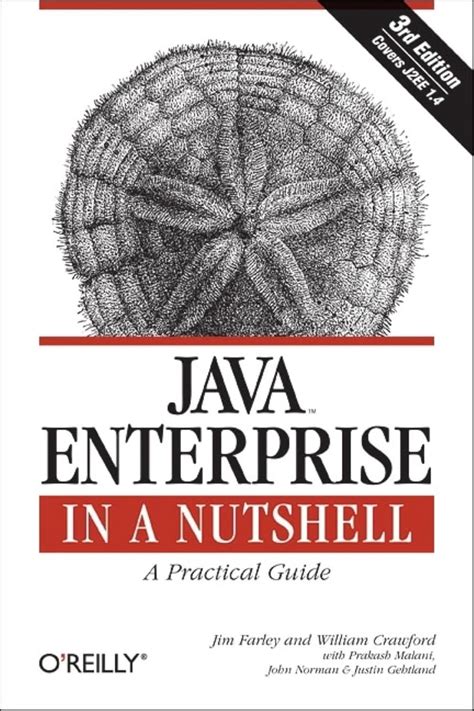 java enterprise in a nutshell in a nutshell oreilly Kindle Editon