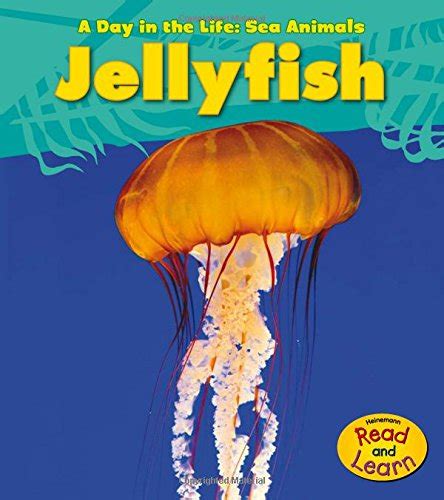 jellyfish a day in the life sea animals Reader