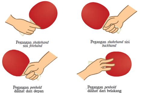 jenis pegangan bet pada tenis meja