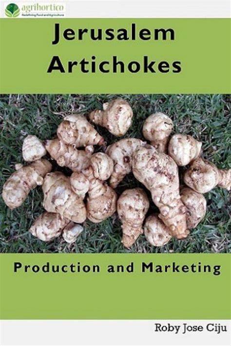 jerusalem artichoke production and marketing Doc