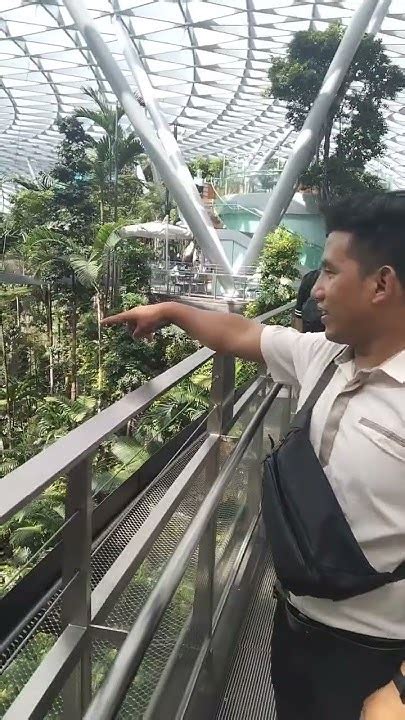 jewel changi waterfall opening hours