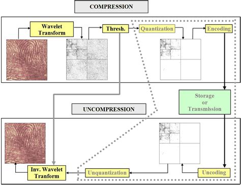 jilibwt: The Game-Changer for Wavelet-Based Image Compression