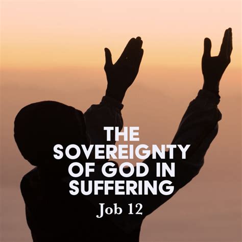 job sovereignty suffering devotional commentaries Reader