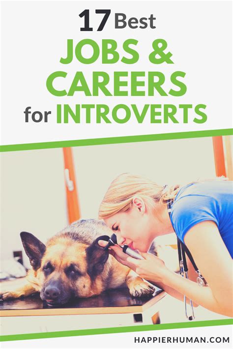 jobs for introverts near me