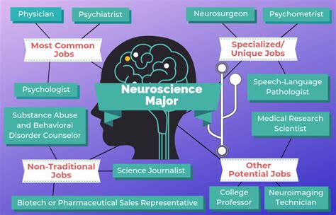 jobs with neuroscience degree
