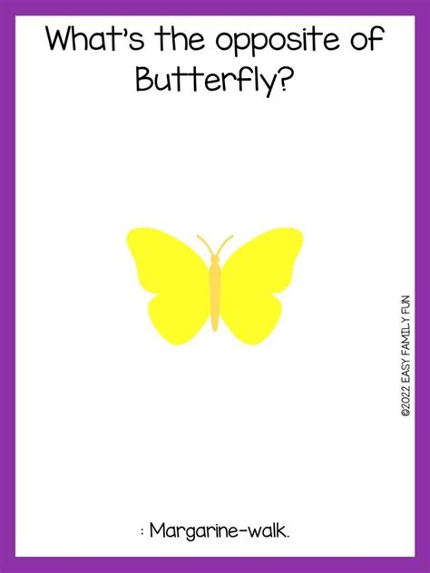 joke butterfly