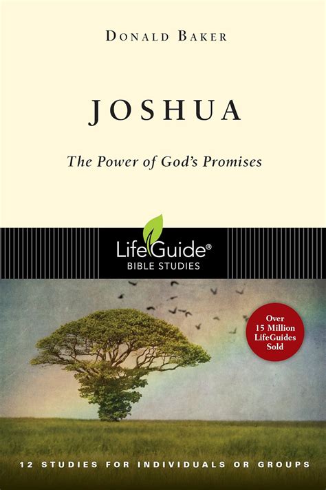 joshua the power of gods promises lifeguide bible studies PDF