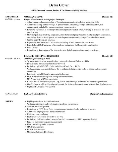 junior project manager resume example sample Doc