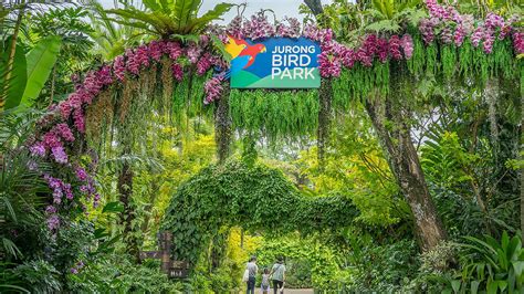 jurong bird park in chinese translation