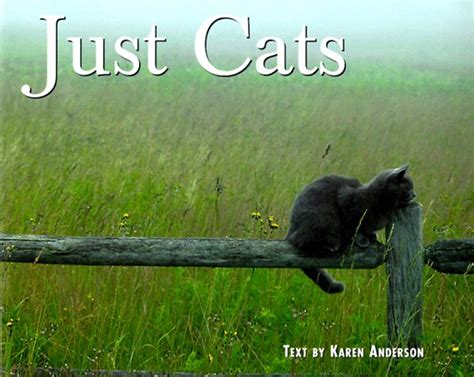 just cats just willow creek PDF