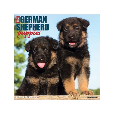 just german shepherd puppies 2012 calendar just willow creek PDF