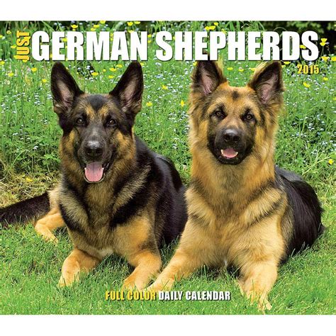 just german shepherds 2015 wall calendar Doc