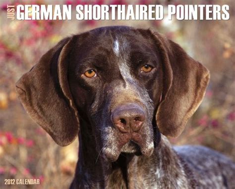 just german shorthaired pointers 2012 calendar just willow creek Reader