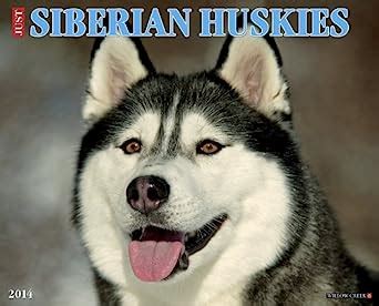 just siberian huskies 2014 wall calendar Reader