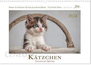 k tzchen 2016 wandkalender quer abwechslungsreichen Epub