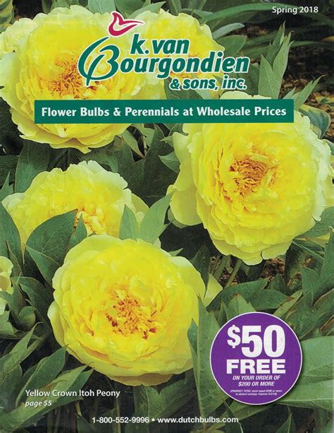 K Van Bourgondien Catalog
