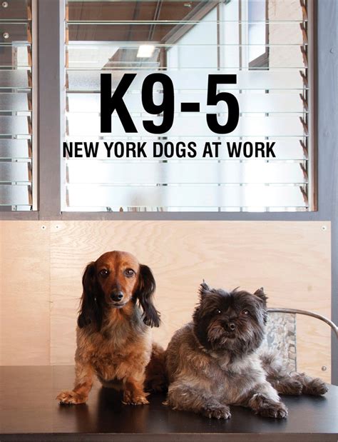 k9 5 new york dogs work Reader