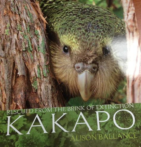 kakapo rescued from the brink of extinction PDF