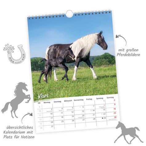 kalender pferde 2016 classic kalender Reader