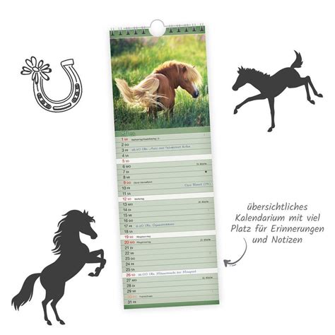 kalender pferde 2016 streifenkalender Kindle Editon