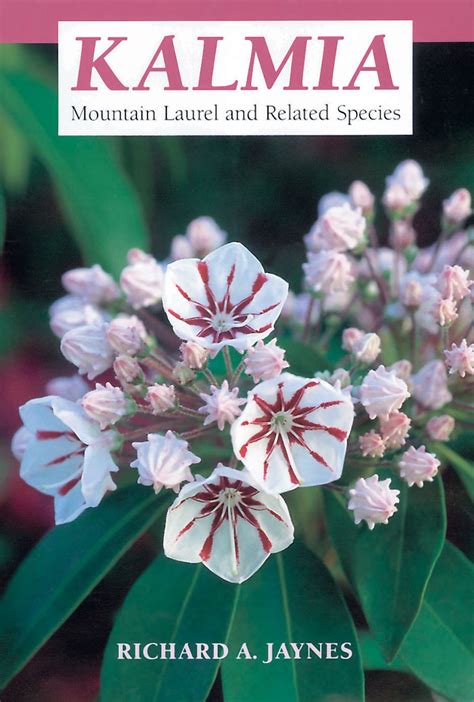 kalmia mountain laurel and related species third edition PDF