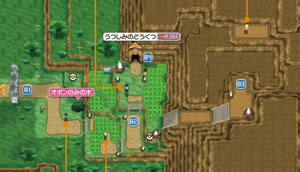 kalos route 11