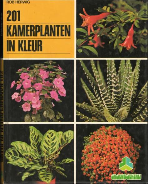 kamerplanten in kleur fotos jaap timmer Epub