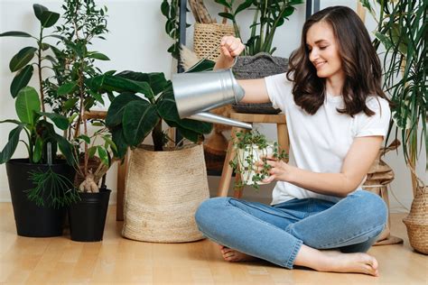 kamerplanten van maand tot maand raadgevingen tekeningen en tips voor de verzorging van bloemen en planten het gehele jaar door Epub